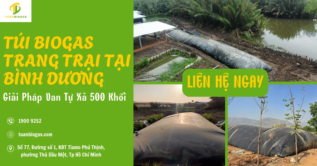Túi Biogas Trang Trại Tại Bình Dương: Vì Sao Túi Lớn 500 Khối Bắt Buộc Dùng Van Tự Xả?